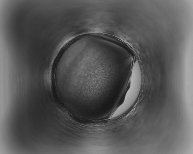 X0000093210200200710171347