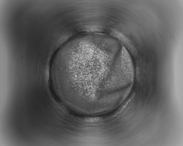 X0000093210202200710171347