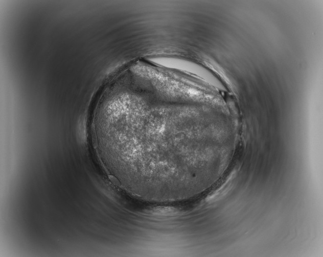 X0000093210203200710171347