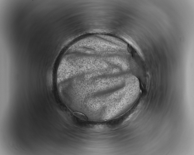 X0000093210204200710171347