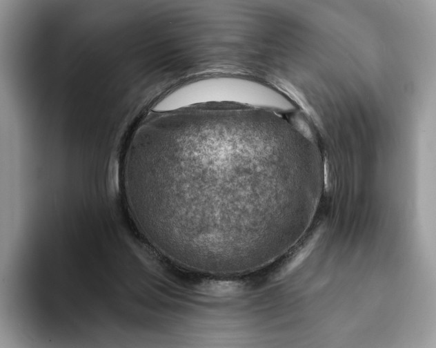 X0000093210205200710171347