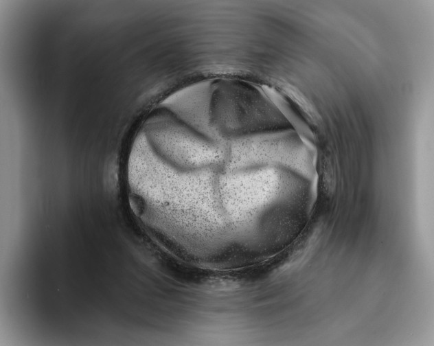 X0000093210207200710171347