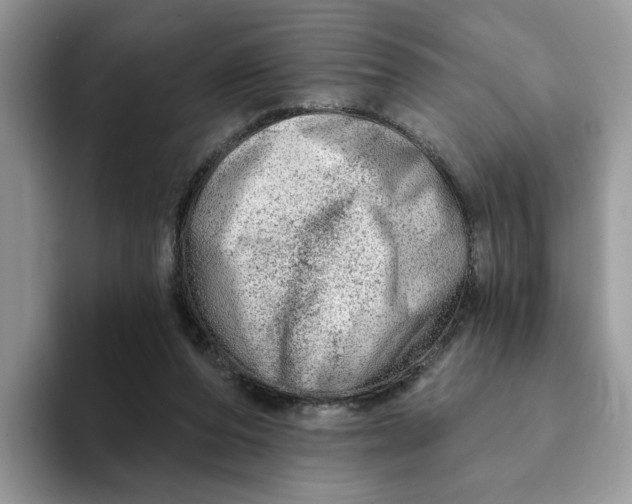 X0000093210208200710171347