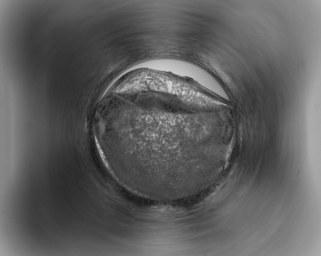 X0000093210211200710171347