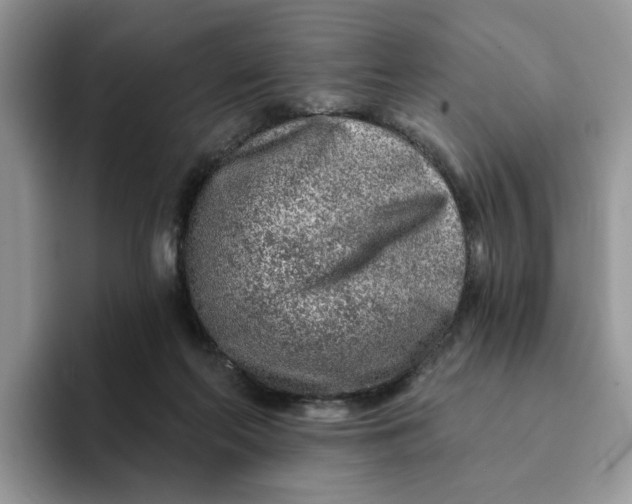 X0000093210214200710171347