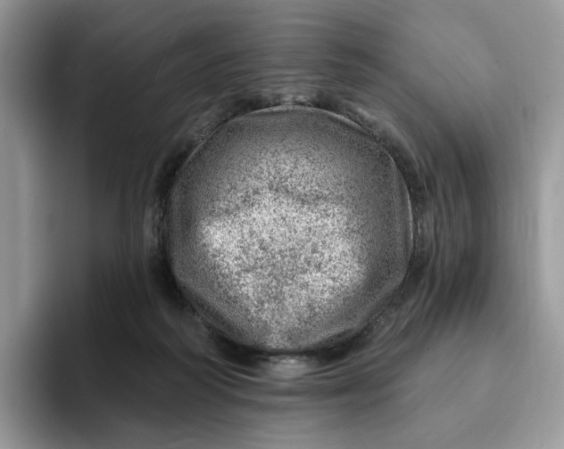 X0000093210218200710171347