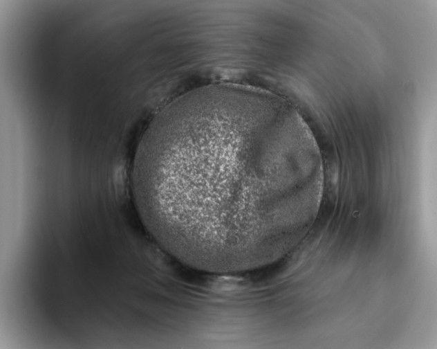 X0000093210222200710171347