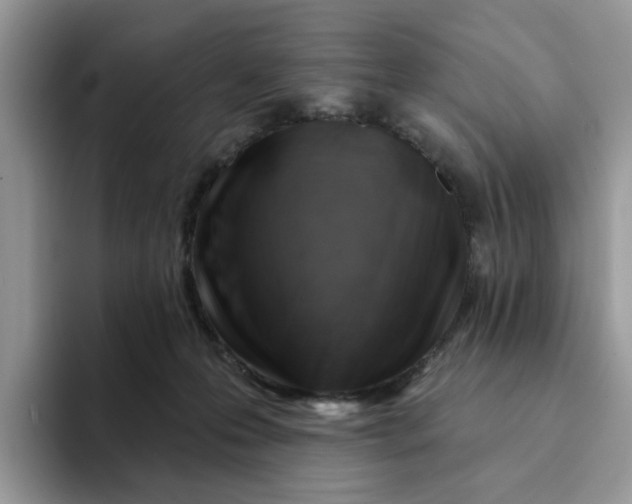 X0000093210223200710171347