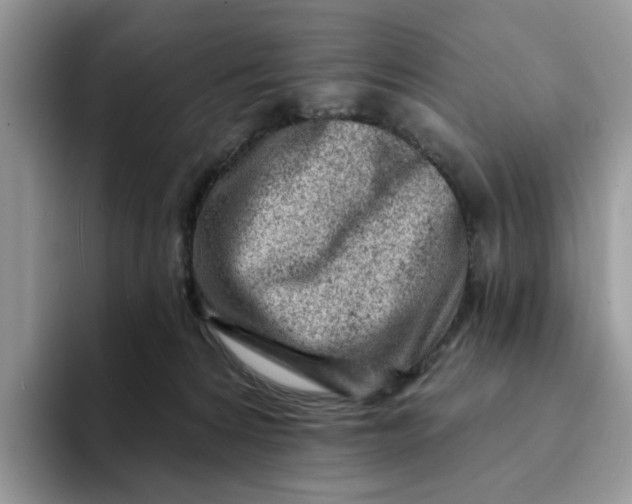 X0000093210224200710171347