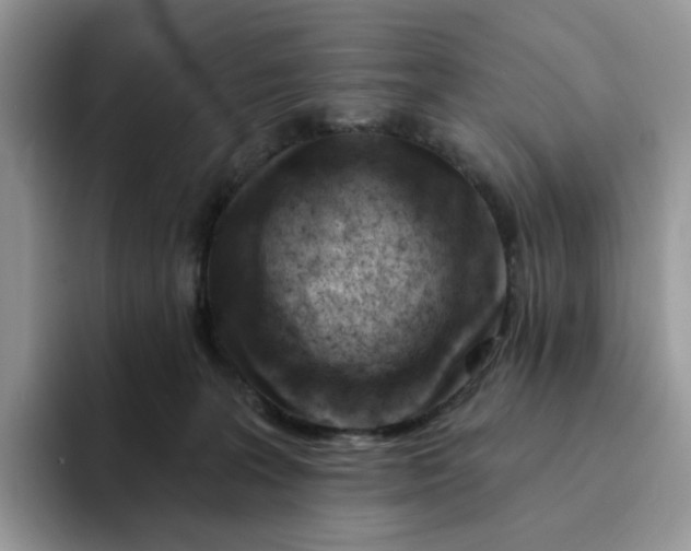 X0000093210227200710171347