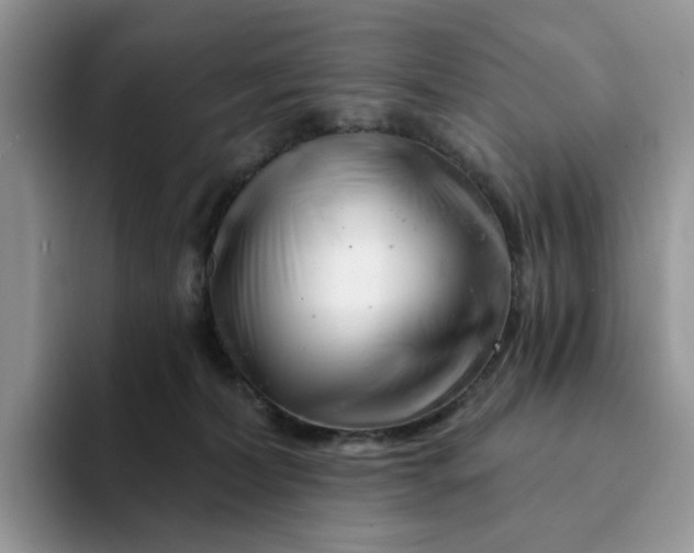 X0000093210228200710171347