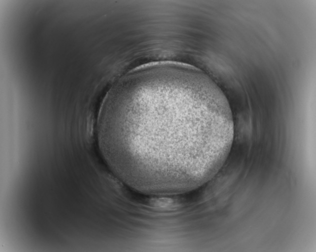 X0000093210230200710171347