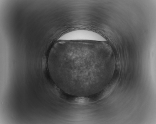 X0000093210231200710171347