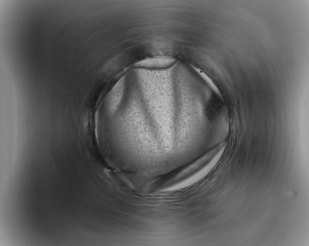 X0000093210233200710171347