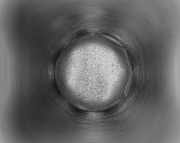 X0000093210234200710171347