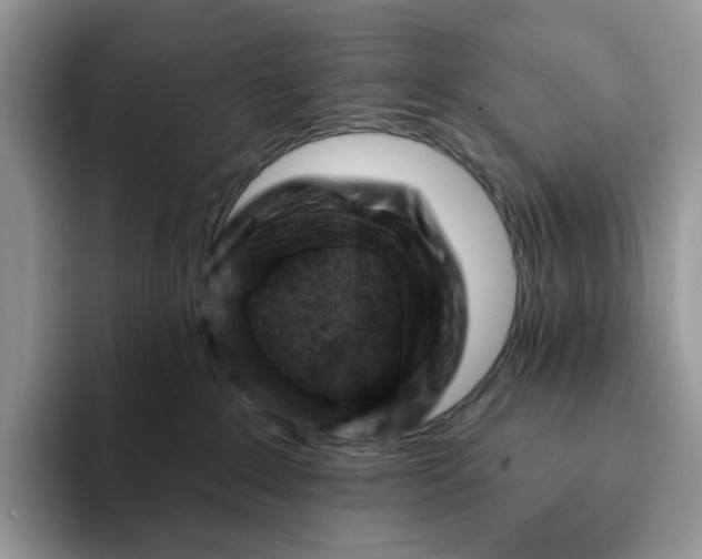 X0000093210235200710171347