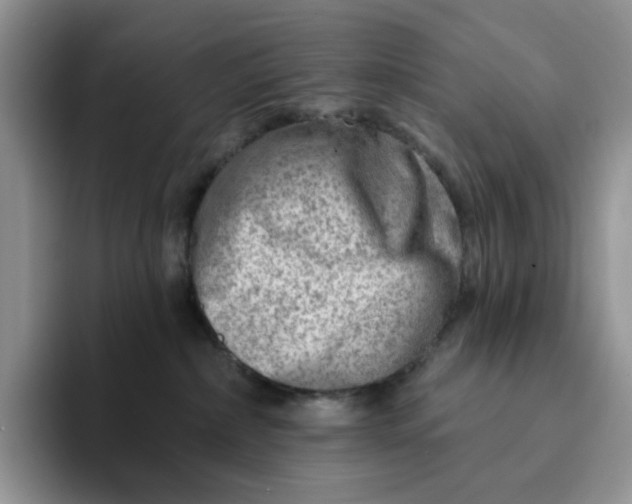 X0000093210236200710171347