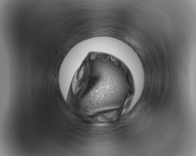 X0000093210237200710171347