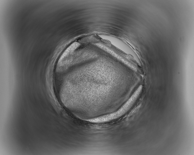 X0000093210241200710171346