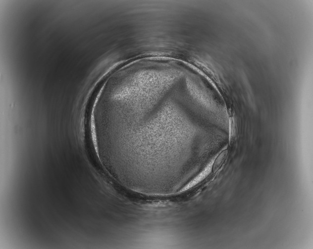 X0000093210243200710171346