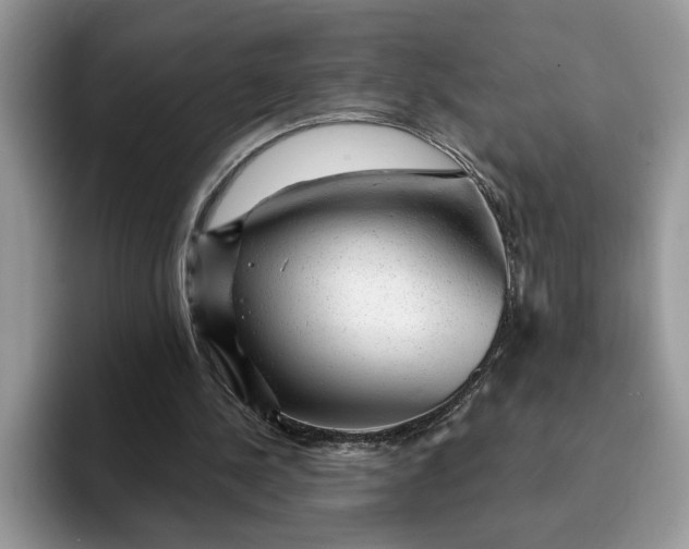 X0000093210244200710171346