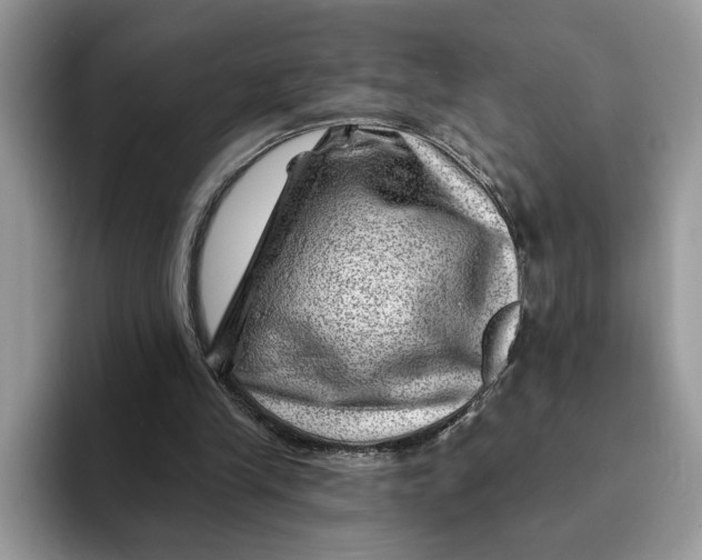 X0000093210245200710171346