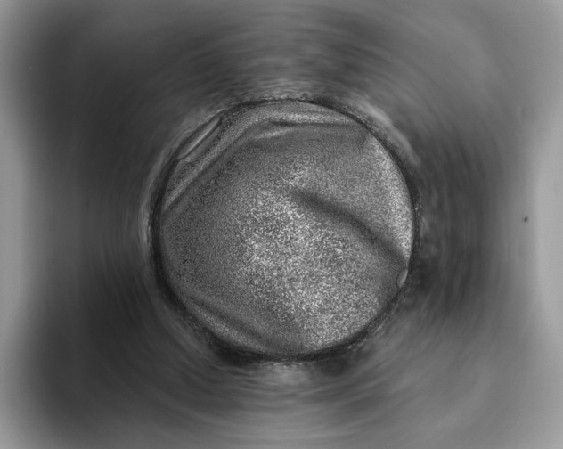 X0000093210250200710171346