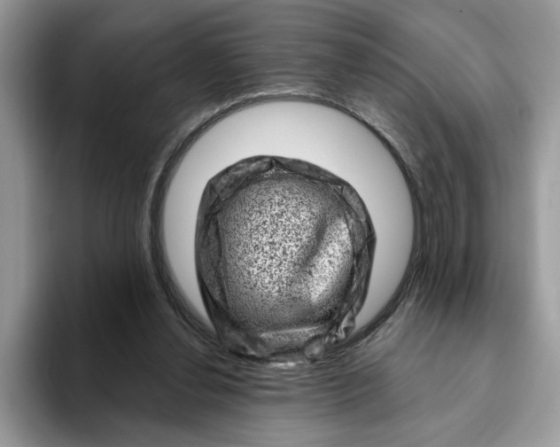 X0000093210252200710171346