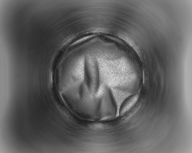 X0000093210253200710171346