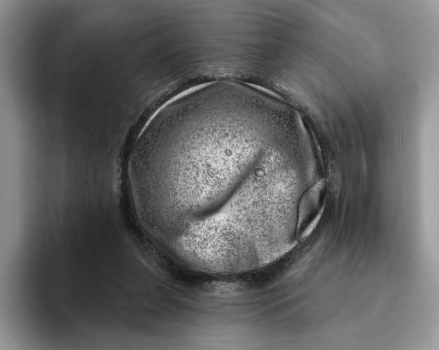 X0000093210255200710171346