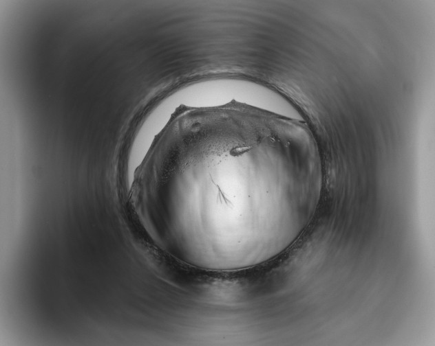 X0000093210256200710171346