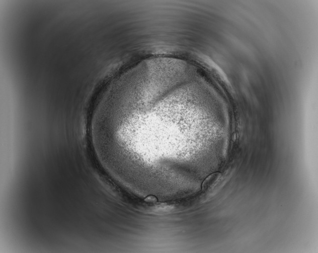 X0000093210257200710171346