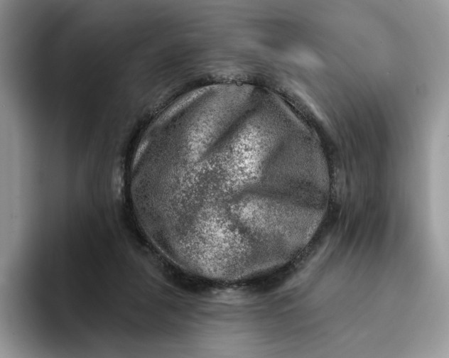 X0000093210259200710171346