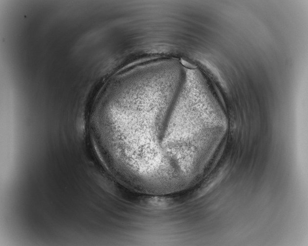 X0000093210261200710171346