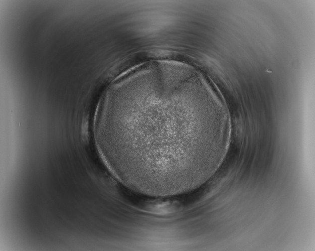 X0000093210267200710171346