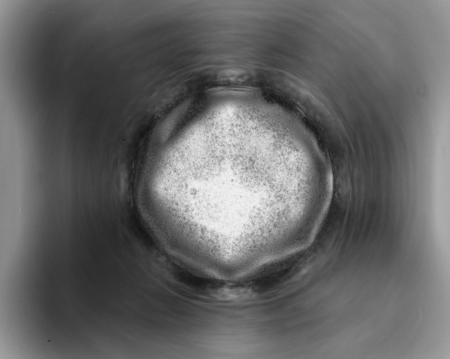 X0000093210270200710171346