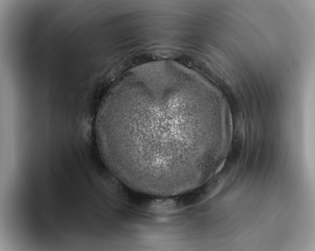 X0000093210271200710171346