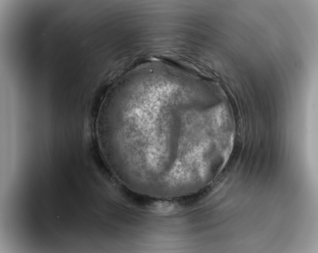 X0000093210272200710171346