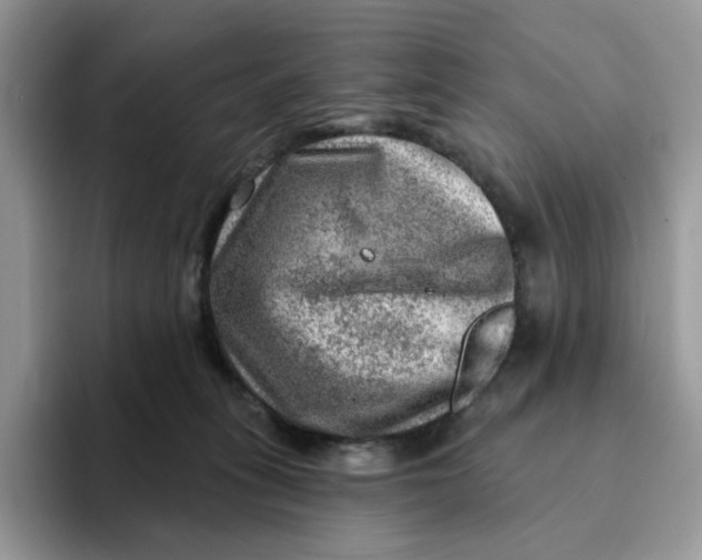 X0000093210275200710171346