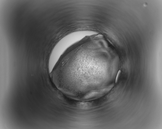 X0000093210277200710171346