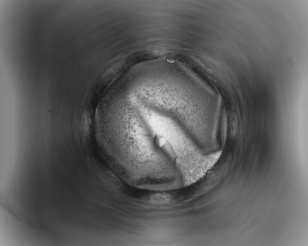 X0000093210279200710171347