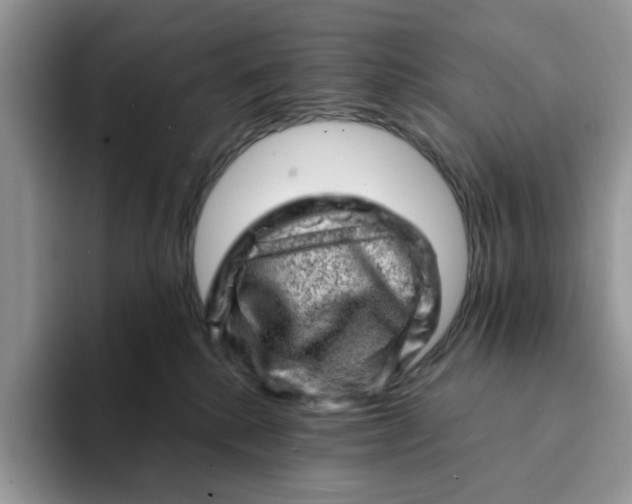 X0000093210280200710171347