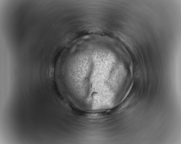 X0000093210281200710171347