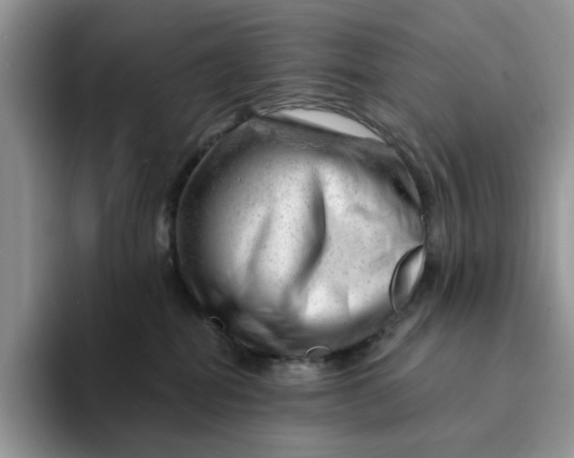 X0000093210282200710171347