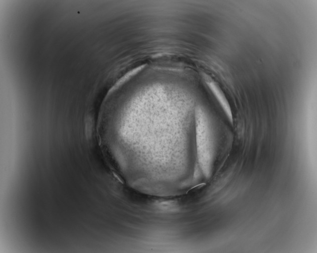 X0000093210283200710171347