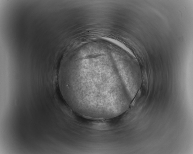 X0000093210284200710171347