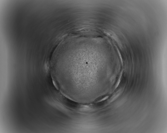 X0000093210285200710171347