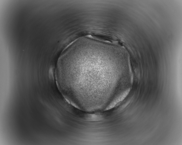 X0000093210286200710171347