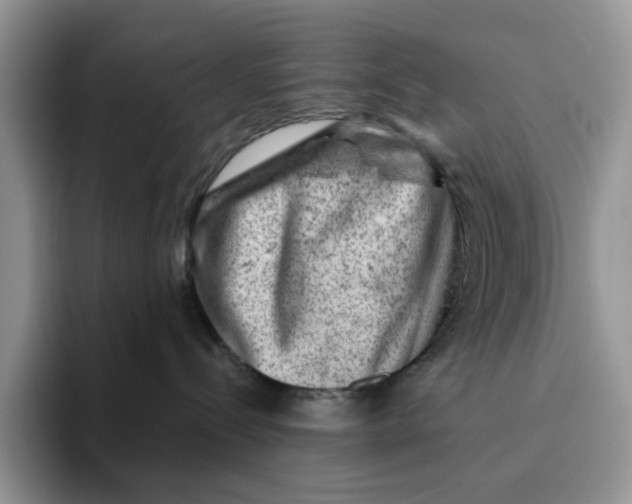 X0000093210288200710171347