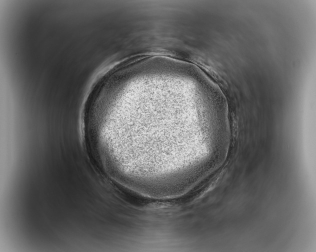 X0000093210294200710171346